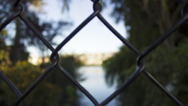 fuzzy nature scene behind a chain-link fence shows lack of focus